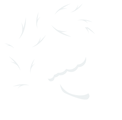 Noble Mind Care
